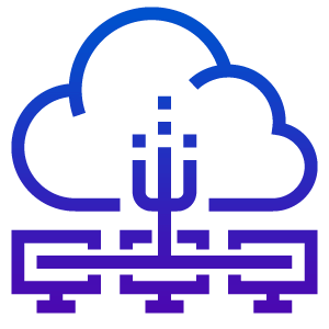 Managed Server Services