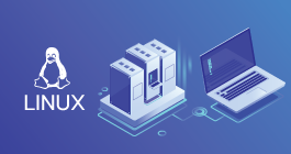 Linux Server